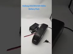 Hailong lithium battery