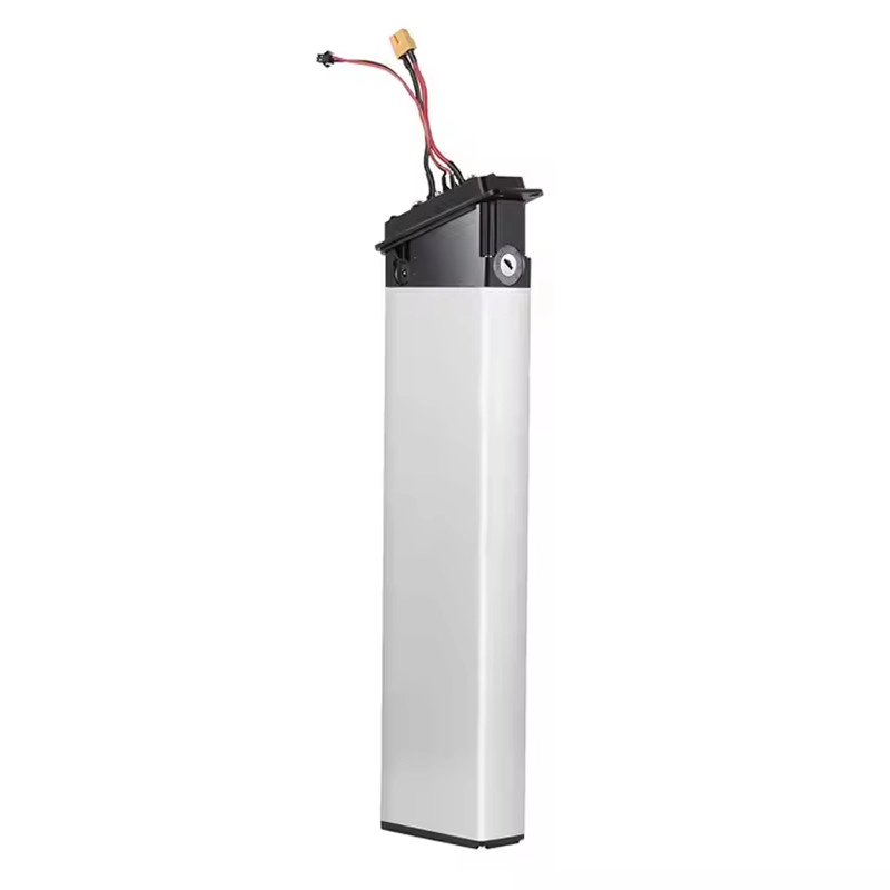 Latest company blogs about Hailong vs Silverfish E-bike Batteries: Which is Right for Your Business?