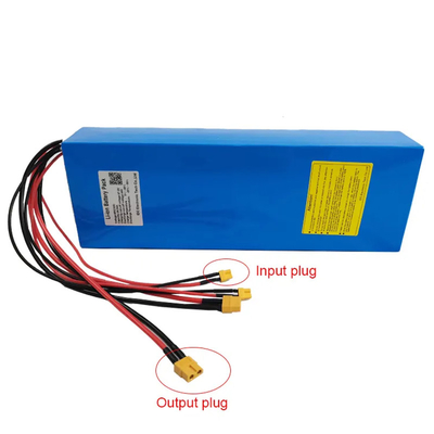 48V 20Ah Li Ion Scooter Battery 1000W Electric Vehicle Battery