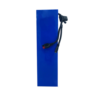 48V 15Ah Electric Scooter Battery 800w Rechargeable Electric Bike Lithium Battery