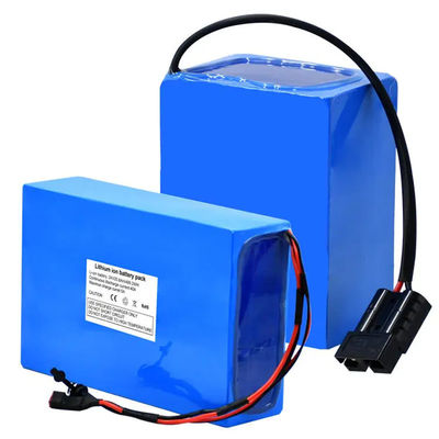 Besorgen Anpassbares Li-Ion-Akku 24V/36V/48V 10Ah/12Ah für Elektroroller und E-Bikes Online-Herstellung
