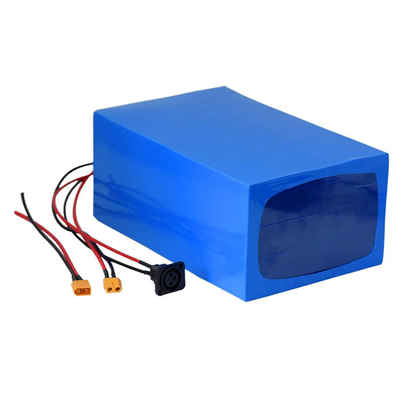Custom Rechargeable Lithium Ion Battery Pack 12v 24v 36v 48v 10Ah 20Ah ...